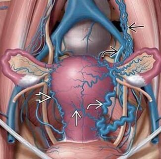 Change the structure of vascular walls